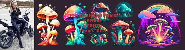 ешки Аркадак