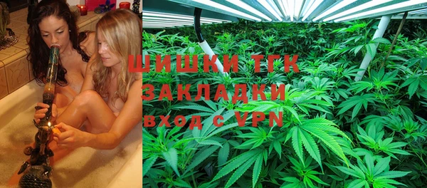 ешки Аркадак